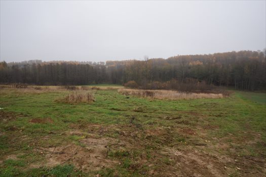 Działka budowlana na sprzedaż Rzeszów 7 500m2 Foto 2