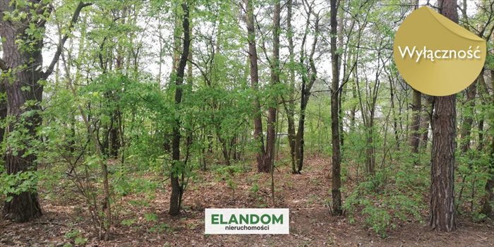 Działka budowlana na sprzedaż Józefów 2 274m2 Foto 4