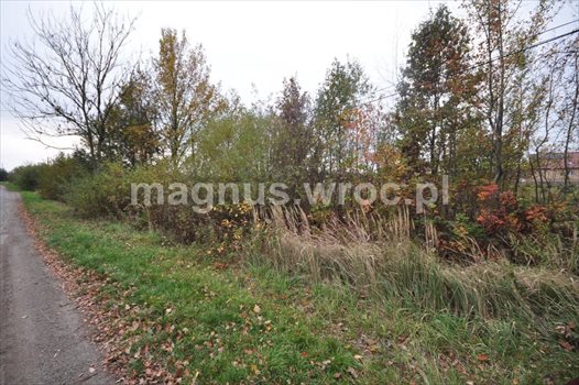 Działka budowlana na sprzedaż Chrząstawa Wielka 1 126m2 Foto 1