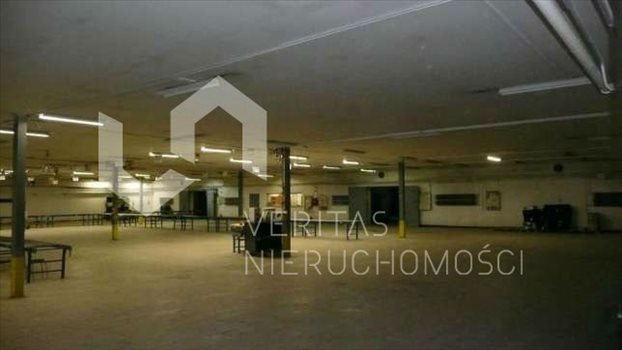 Lokal użytkowy na sprzedaż Katowice, Dolina Trzech Stawów 3 006m2 Foto 4