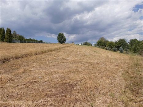 Działka budowlana na sprzedaż Racławówka 2 300m2 Foto 4