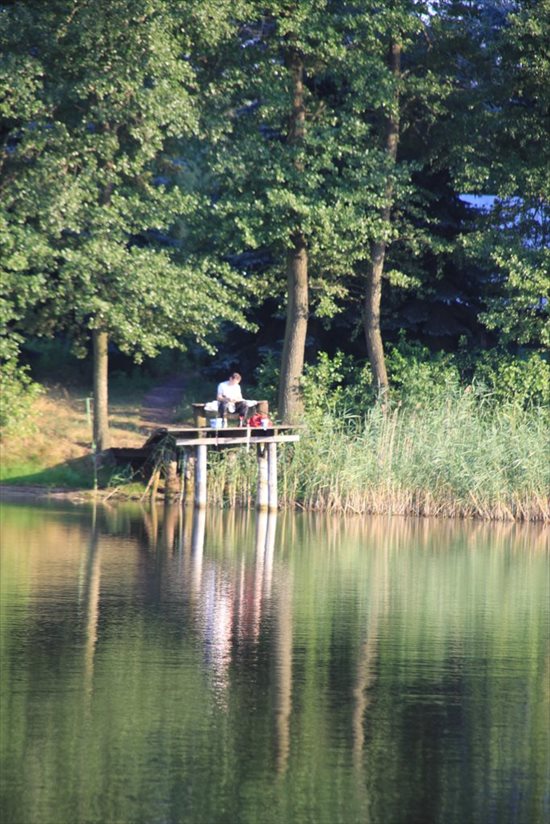 Działka rekreacyjna na sprzedaż Łąkie 1 500m2 Foto 6