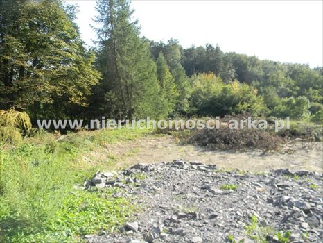 Działka budowlana na sprzedaż Limanowa, Sowliny 3 400m2 Foto 6