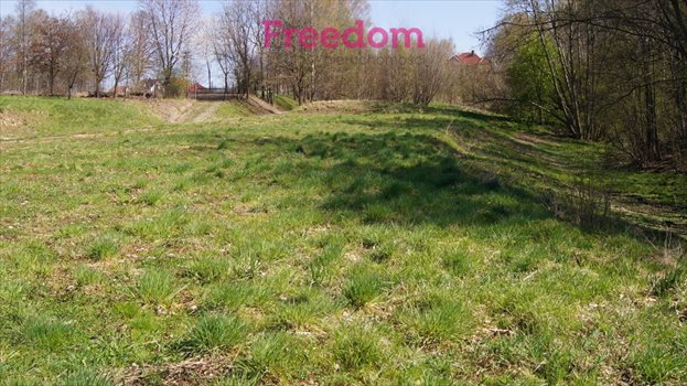 Działka budowlana na sprzedaż Krzywaczka 4 589m2 Foto 9