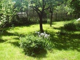 Dom na sprzedaż Kazimierz Dolny 80m2 Foto 5