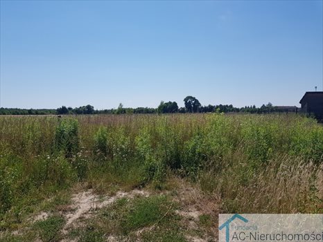 Działka budowlana na sprzedaż Rosanów 3 000m2 Foto 4