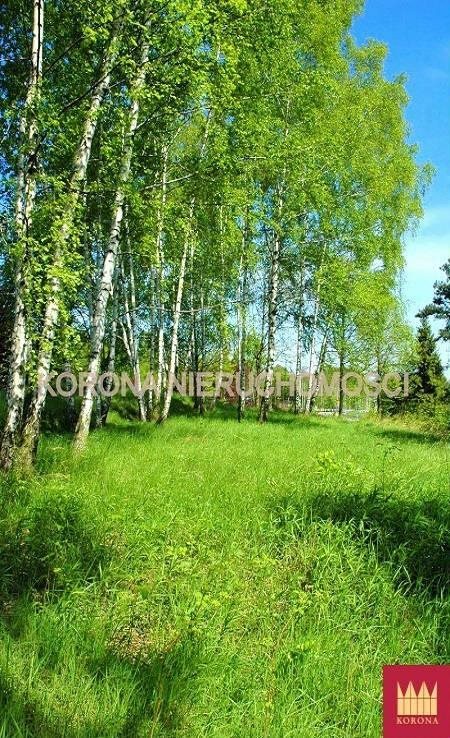 Działka komercyjna na sprzedaż Rybnik 11 783m2 Foto 8