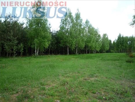 Działka inna na sprzedaż Many 12 200m2 Foto 4