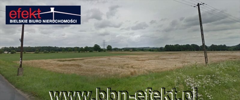 Działka budowlana na sprzedaż Międzyrzecze Dolne 798m2 Foto 3