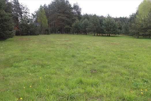 Działka budowlana na sprzedaż Starowola 2 082m2 Foto 6