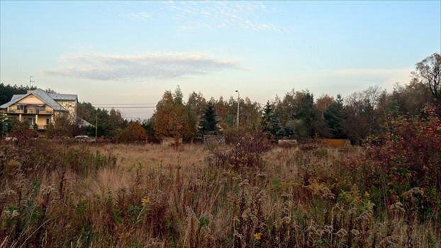 Działka inwestycyjna na sprzedaż Kajetany 14 916m2 Foto 2