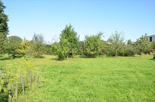 Działka budowlana na sprzedaż Krakowiany, Krakowiańska 2 700m2 Foto 2