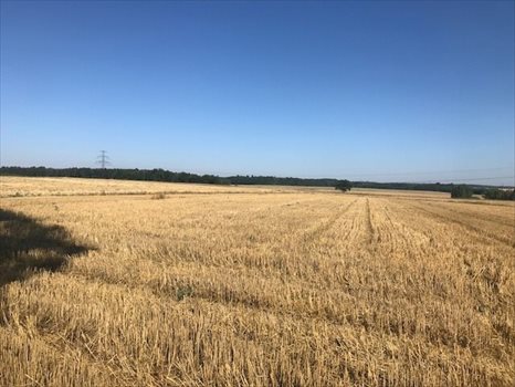Działka budowlana na sprzedaż Siekierczyn 1 169m2 Foto 5