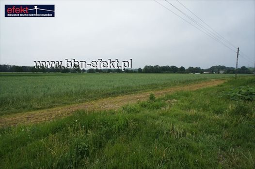 Działka budowlana na sprzedaż Międzyrzecze Dolne 4 959m2 Foto 6