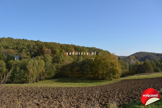 Działka budowlana na sprzedaż Grajów 3 700m2 Foto 1