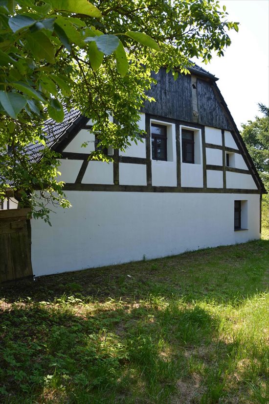 Dom na sprzedaż Jeżyczki, Jeżyczki 250m2 Foto 6