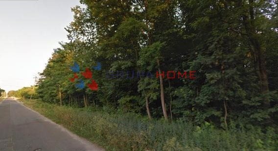 Działka budowlana na sprzedaż Stefanówka 1 260m2 Foto 2