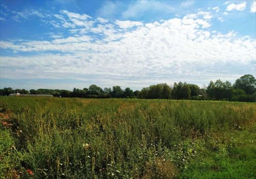Działka budowlana na sprzedaż Warszawa, Wilanów, Ruczaj 11 542m2 Foto 1