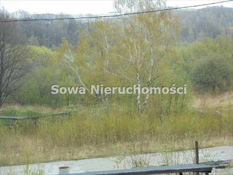 Działka budowlana na sprzedaż Wałbrzych, Piaskowa Góra 21 000m2 Foto 3