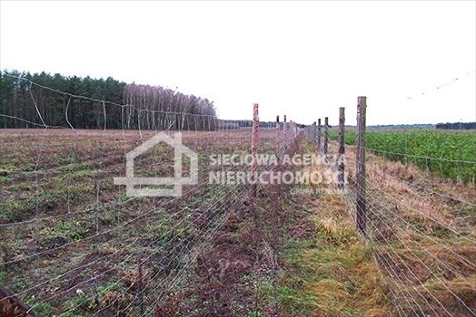 Działka leśna na sprzedaż Strzeczona 129 577m2 Foto 5