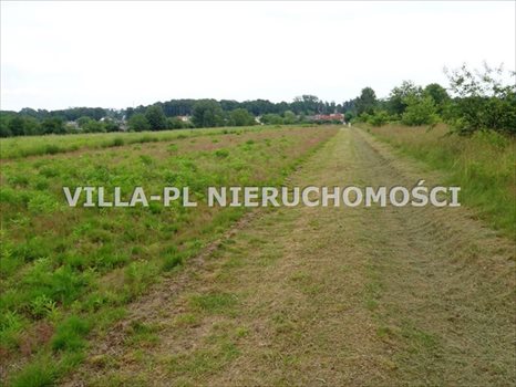 Działka budowlana na sprzedaż Dąbrówka Wielka 1 000m2 Foto 4