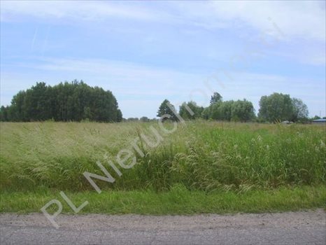 Działka rolna na sprzedaż Holendry Baranowskie 28 400m2 Foto 4