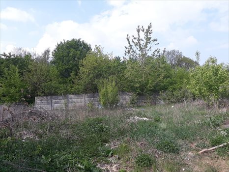 Działka budowlana na sprzedaż Warszawa, Wawer, Mrówcza 39f 1 260m2 Foto 5