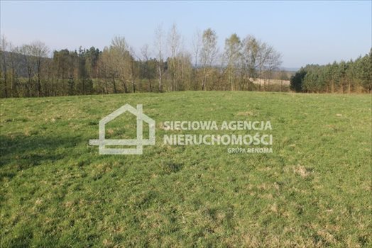 Działka budowlana na sprzedaż Lubowidz 1 760m2 Foto 8