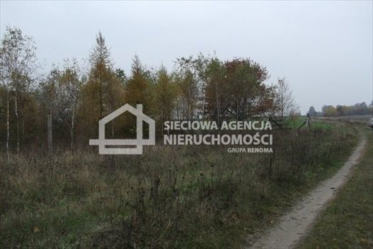 Działka leśna na sprzedaż Stare Gronowo 49 000m2 Foto 8