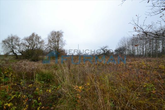 Działka budowlana na sprzedaż Pieczyska 5 700m2 Foto 6