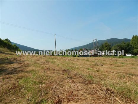 Działka budowlana na sprzedaż Dobra 1 500m2 Foto 6