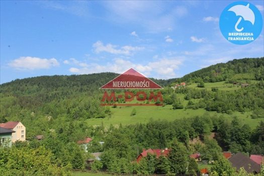 Działka budowlana na sprzedaż Mutne 1 241m2 Foto 5