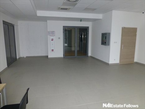 Lokal użytkowy na wynajem Kraków, Rybitwy 400m2 Foto 5