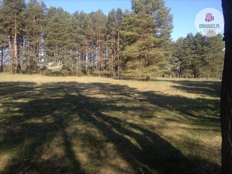 Działka rekreacyjna na sprzedaż Ząbie, Ząbie 2 981m2 Foto 12