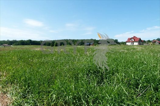 Działka inna na sprzedaż Dębina, Akacjowa 1 861m2 Foto 6