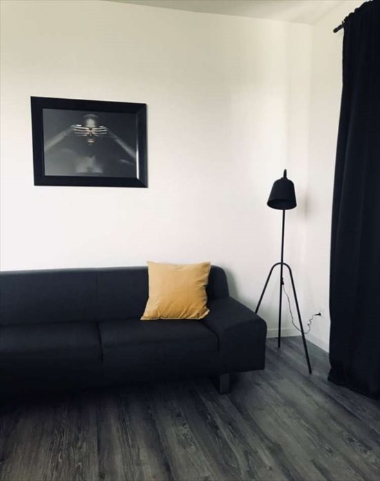 Mieszkanie dwupokojowe na wynajem Katowice, Osiedle Tysiąclecia, Chorzowska 214 45m2 Foto 5