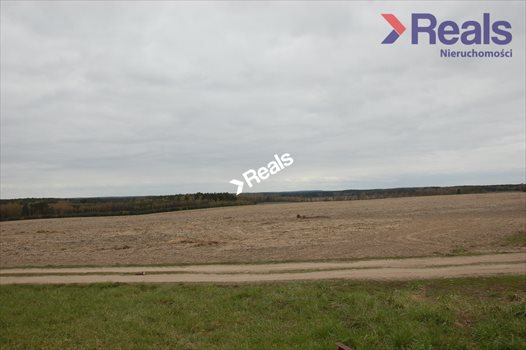 Działka rolna na sprzedaż Drzonowo Wałeckie 280 000m2 Foto 2