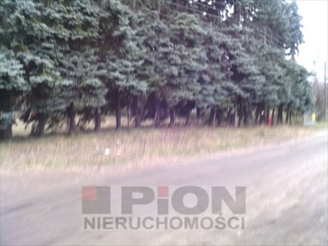 Działka inna na sprzedaż Puszczykowo, Stare Puszczykowo 2 536m2 Foto 2