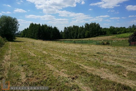 Działka budowlana na sprzedaż Sieborowice 2 600m2 Foto 10
