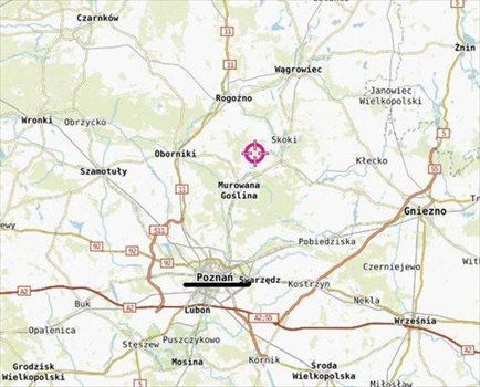 Działka rekreacyjna na sprzedaż Murowana Goślina, Wojnówko 3 782m2 Foto 3
