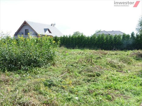 Działka budowlana na sprzedaż Wołczkowo 3 000m2 Foto 6
