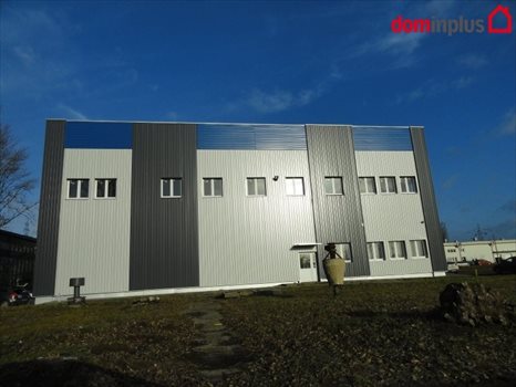 Lokal użytkowy na wynajem Toruń 330m2 Foto 2