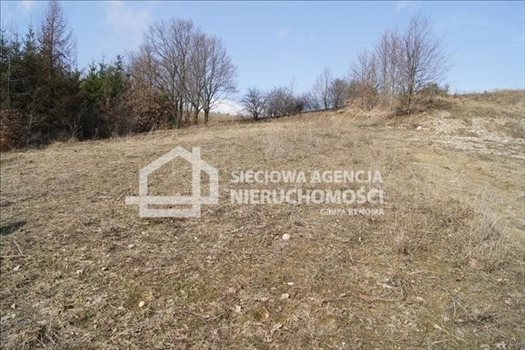 Działka budowlana na sprzedaż Ostrzyce 3 221m2 Foto 5