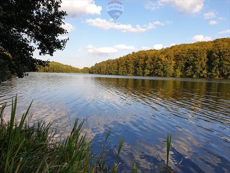 Działka siedliskowa na sprzedaż Sobącz 48 970m2 Foto 8