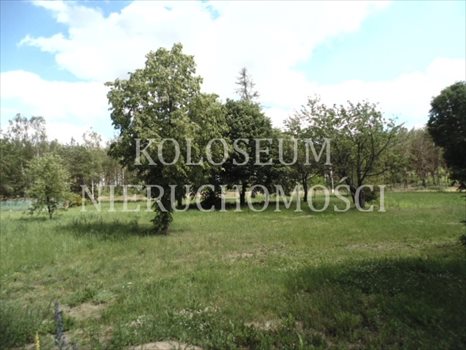 Działka budowlana na sprzedaż Bartoszylas, Stara Kiszewa, Kaszuby, Kościerzyna 35 500m2 Foto 3