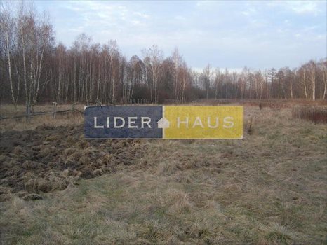 Działka inna pod dzierżawę Łomianki, Dąbrowa Zachodnia 10 000m2 Foto 7