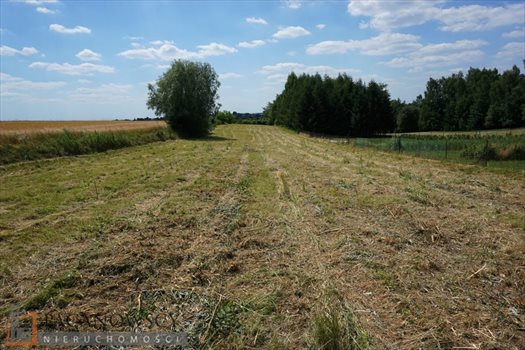 Działka budowlana na sprzedaż Sieborowice 2 600m2 Foto 7