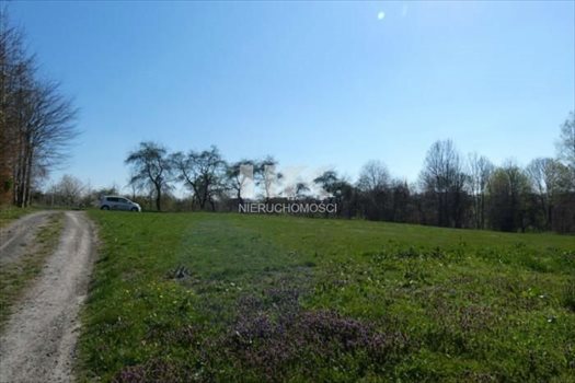 Działka inna na sprzedaż Działoszyn 2 100m2 Foto 6