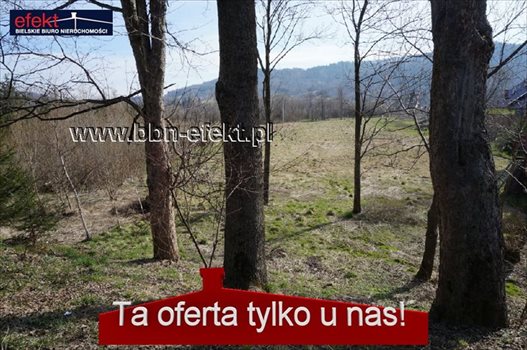 Działka inwestycyjna na sprzedaż Jeleśnia 3 310m2 Foto 4