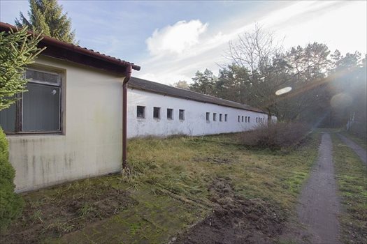 Działka budowlana na sprzedaż Trzeszczyn 14 785m2 Foto 1